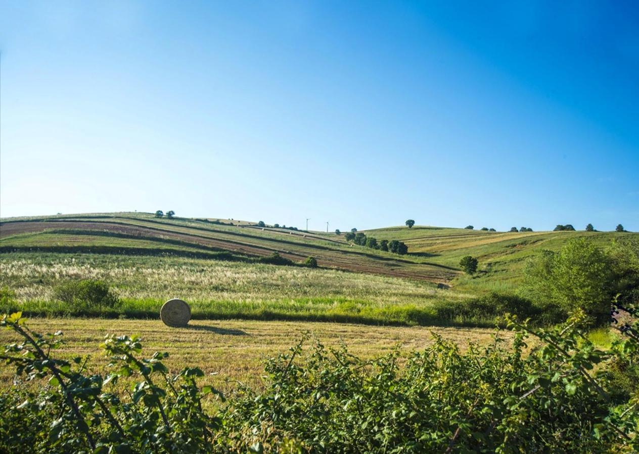 Le Pitture Casa Di Campagna Filiano Buitenkant foto