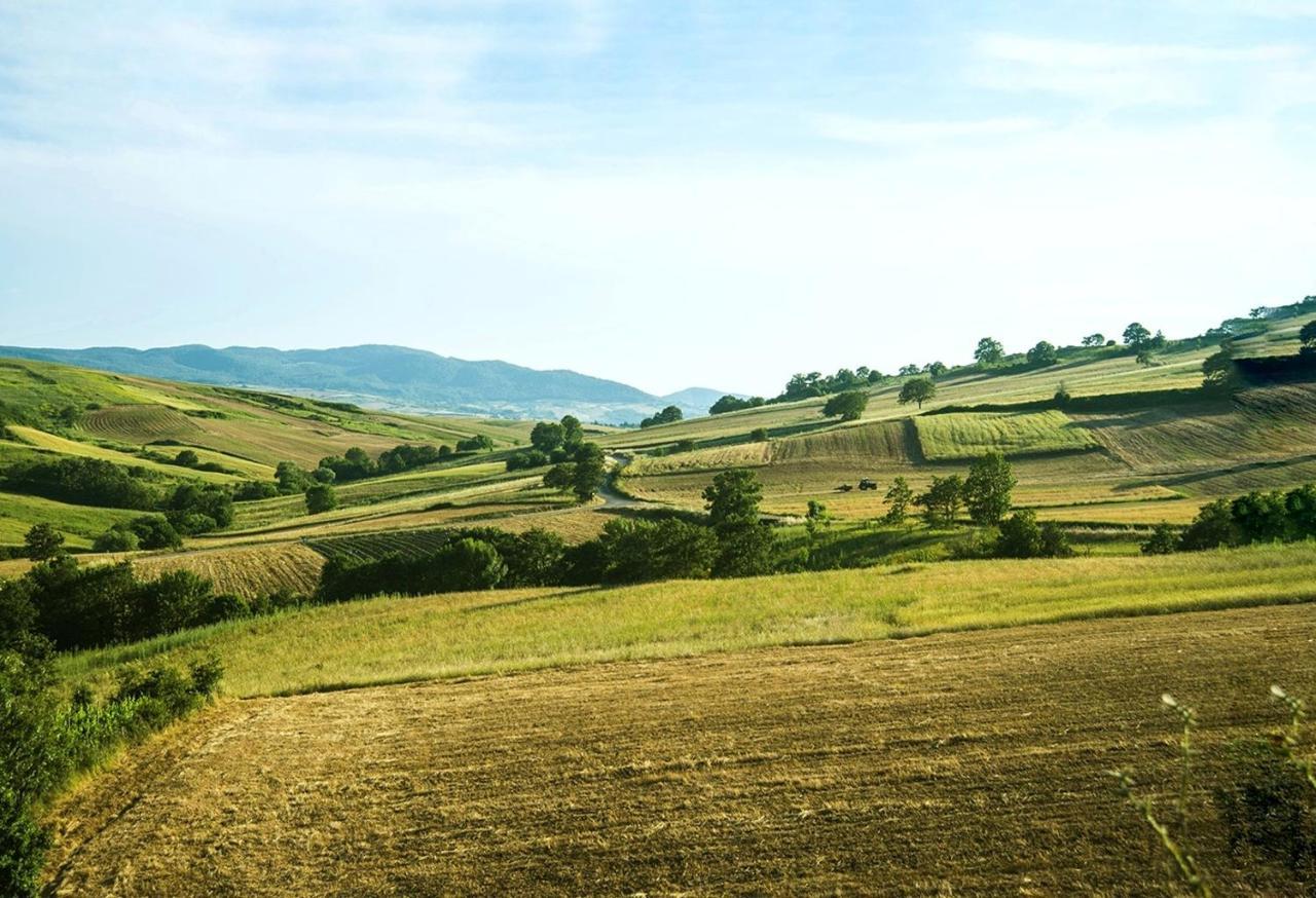 Le Pitture Casa Di Campagna Filiano Buitenkant foto